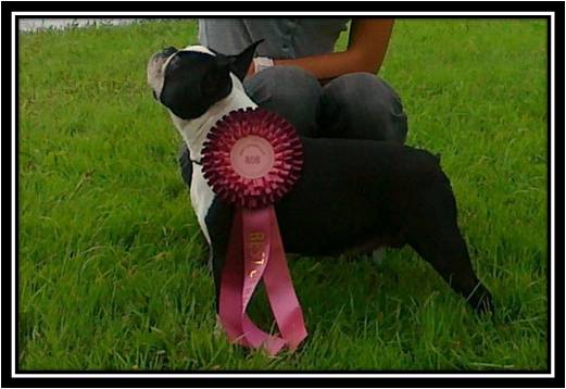 CH. Belle The Best/ Barney Deluxy
